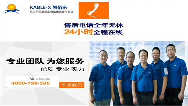 凱佰樂線束售后團(tuán)隊